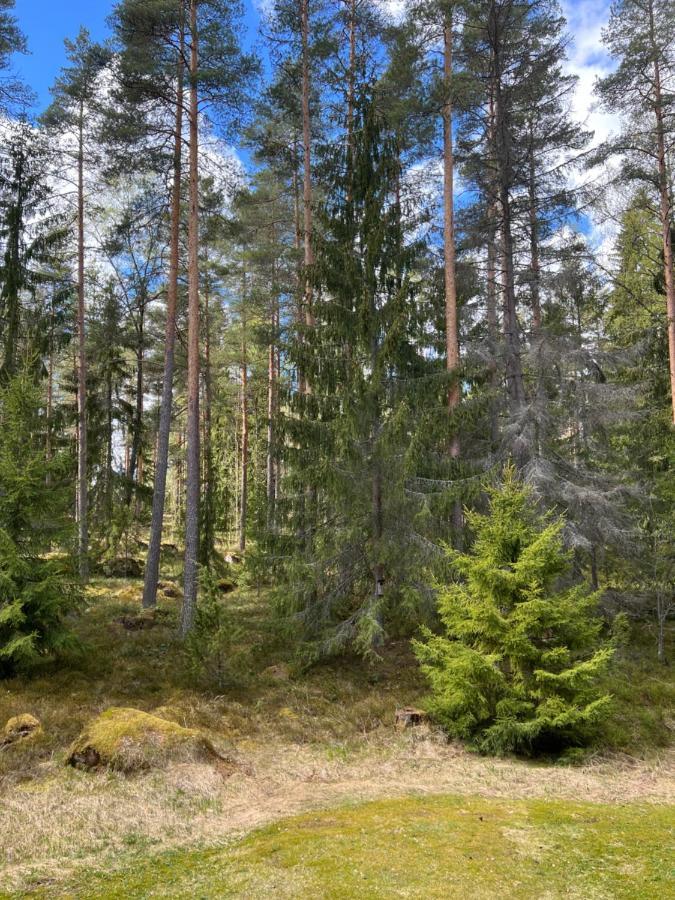Forest Apartments Kouvola Exteriér fotografie